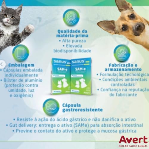Sanus 100 Mg 30 Cápsulas Cães E Gatos - Avert