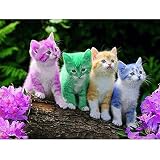 Puzzle De 1000 Piezas Para Adultos,Juego De Rompecabezas De Madera, Rompecabezas Familiares Personalizados Diy : Cuatro Gatos, Adolescentes Niños Intelectuales Alivio Del Estrés Educativo Creativo D