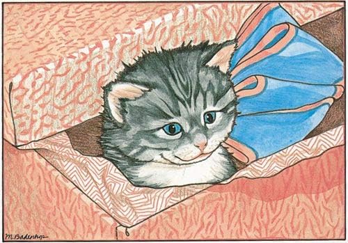 Cat Tabby Blank Note Cards Boxed