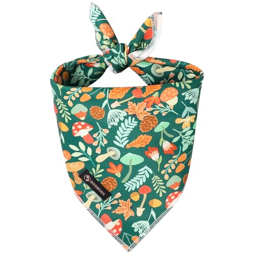 DOGWONG �H�̌��̃o���_�i�A���킢���n���E�B�[�� ���[�v���}�b�V�����[�� �����X�J�[�t �I�����W �p���v�L�� �R�b�g�� �� �o���_�i ���^ �� ��^���p