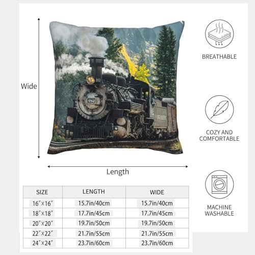 Housse de coussin train à vapeur EdWal lot de 2 pour canapé