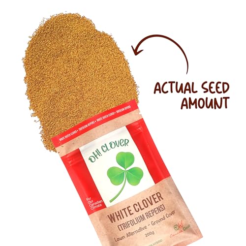 Oh! Canada Seeds White Clover Seeds, Pollinator Friendly Lawn Alternative, Ground Cover, White Flower Seeds image 1