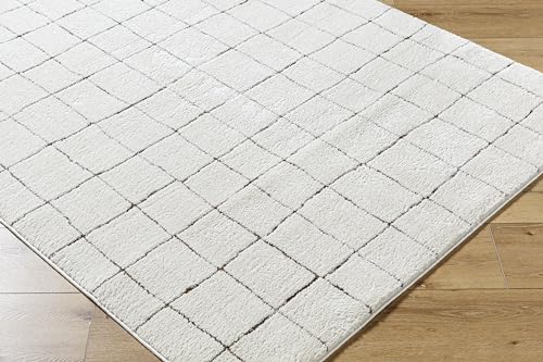 Livabliss x Our PNW Home Cascade Minimalist Area Rug, 9'2" x 12', Ivory by Livabliss - Image 5