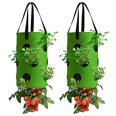 Set of 2 - Green