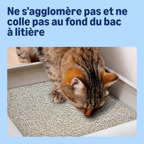 by Amazon Litière pour Chat Hygiénique Non Agglomérante 10L (1 Paquet) – vue 3