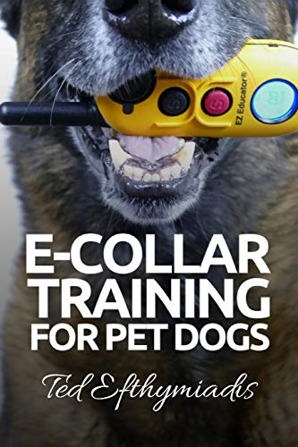 using e collar to train dog
