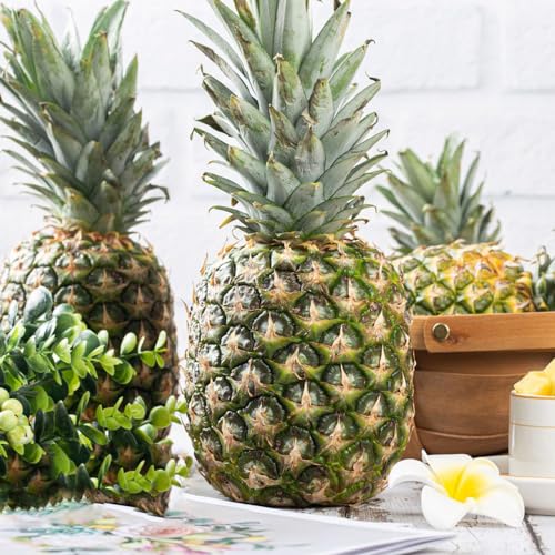 mini ananas pflanze essbar Test auf VVWN vvwn.de