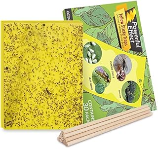 Kensizer 30-Pack Fruit Fly Trap, Yellow Sticky Gnat Traps Killer for Indoor/Outdoor Flying Plant Insect Like Fungus Gnats, Whiteflies, Aphids, Leaf Miners - 6x8 in, Twist Ties Included