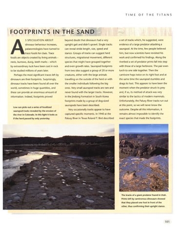 Walking with Dinosaurs: A Natural History - Image 8