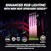 Memoria Kingston FURY Beast RGB 16GB 6000MT/s DDR5 CL36 para escritorio | AMD EXPO | Módulo único | KF560C36BBE2A-16 4