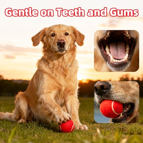 Image of Sunraymascota 6-Pack Tennis Balls for Dogs Fetch Toys,for Beginner Practice