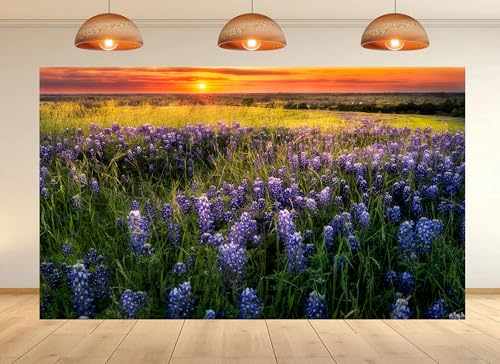12x8ft Bluebonnet Field Backdrop Fiery Sunset Golden Grass Photo Background