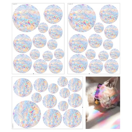 Gekamoyue Vinilos para Cristales 39 Piezas, Sin Rastro Adhesivos para Ventanas de Arcoíris, Pegatinas Anticolisión de Pájaros para Hogar Oficina Tienda, Material PVC