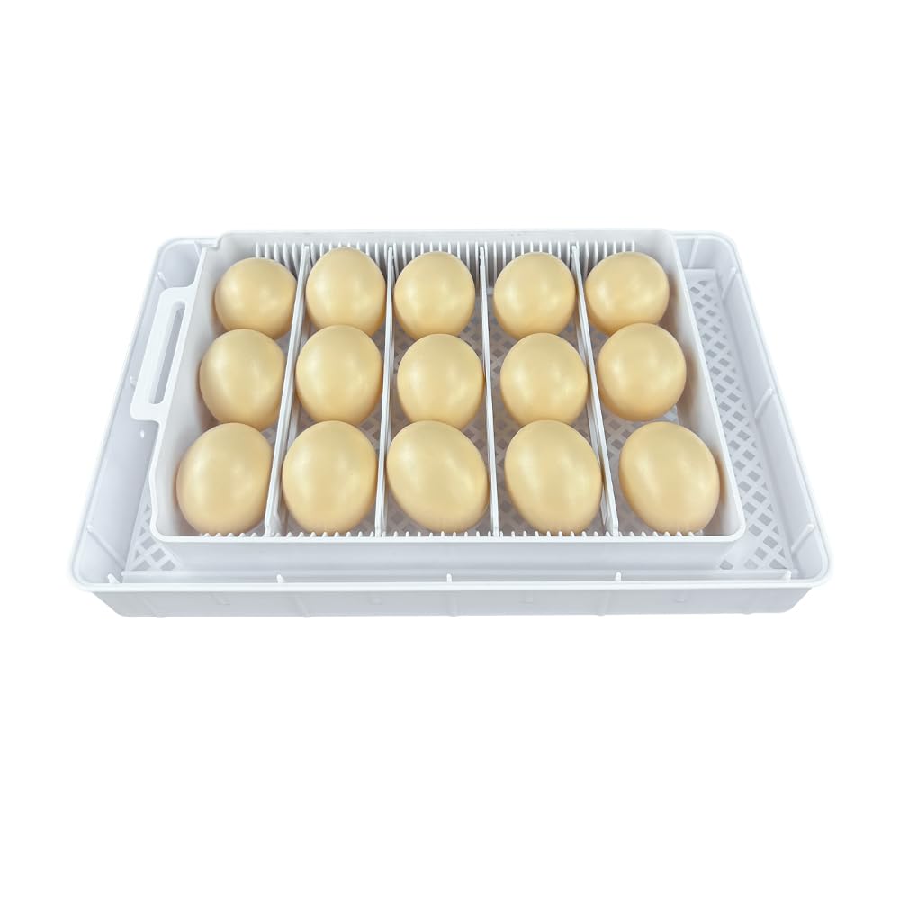 Añadir agua automáticamente 15 huevos de pollo pequeño incubadora de huevo con bandeja de huevo ajustable para la venta