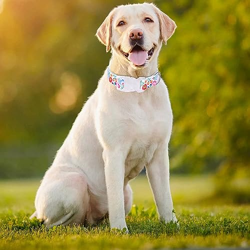 haoyueer Dog Collar for Small Medium Large Dogs Adjustable Soft Puppy Cats Collars Multicolor Patterns Collars for Dogs Girl Boy Puppy Walking Running Training (XS - Image 4