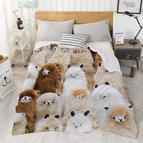 Ultra Soft Flannel Fleece Throw Blanket Alpaca All Season Warm And Cozy Quilt Blanket For Bed Sofa Couch 60"X50"For Teens #TOP4
