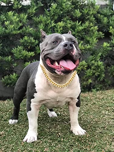 Halukakah Goldkette Iced Out für Hund,Diamant Kubanische Halskette Kragen 14MM 18 Karat Echt Vergoldet 40cm Größe S mit KOSTENLOSER Geschenkbox,Nur Dekoration