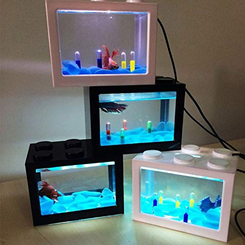 Réservoir à poissons, bocal à poissons, Mini aquarium for poissons avec lampe LED Cylindre de combat for poissons Betta Mini kit de bol à poissons oblat en verre Petit aquarium for poissons(Blanco)