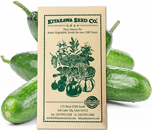 Cucumber Seeds - Tsuyataro - Hybrid -500 Mg Packet ~20 Seeds - Non-GMO, F1 Hybrid - Asian Garden Vegetable