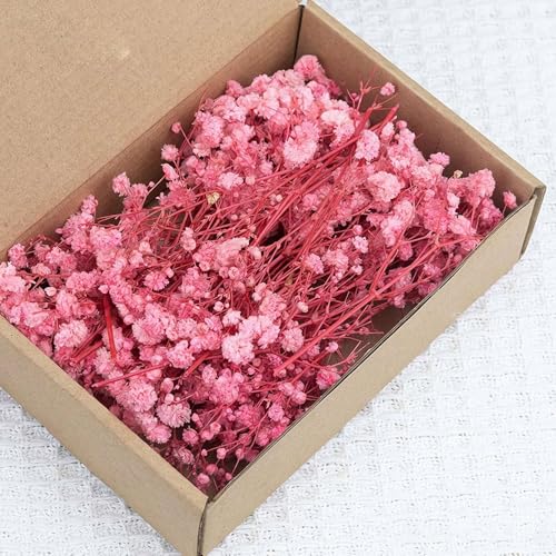 Paquete de aliento seco y eucalipto, flores preservadas de 6-15 cm para manualidades, decoración del hogar y arreglos florales, tonos marfil natural y verde, 50 piezas (rosa)