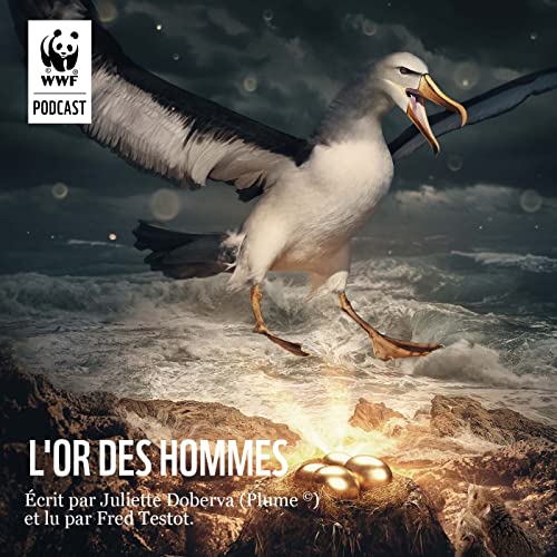 L’Or des Hommes
