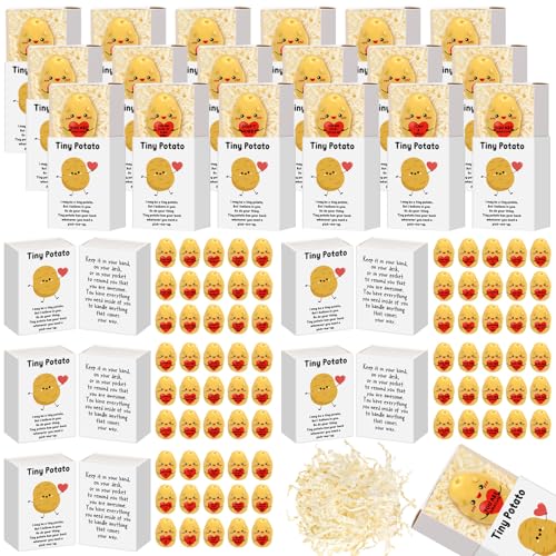 Cinnvoice 75 Sets Emotion Employee Appreciation Gift Bulk, Potato Style