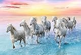 ✅ 500 pezzi di alta qualità che si adattano perfettamente tra loro.