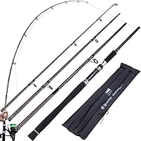 Sougayilang Angelrute für Karpfen, Angelrute aus Kohlefaser, tragbar, 4/5 Abschnitte mit Griff aus Eva, bequem für Salzwasser oder Süßwasser – 4