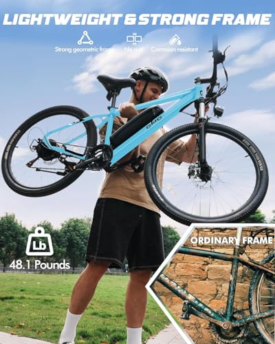 Qlife Racer 48V 375Wh Ebike