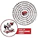 Einhell Akku-Kappsäge TE-MS 18/210 Li-Solo Power X-Change (18 V, max. 60 mm x 120 mm Schnitttiefe/-breite, Ø 210 mm Sägeblatt, neigbarer Sägekopf, Laser, ohne Akku)