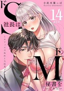 【ラブチーク】ドS社長はドM秘書をいじめたい～オフィスでぬれとろ玩具レビュー～　act.14