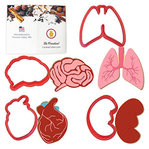 CookieCutter.com - Anatomical Body Parts Cookie Cutter 4 Pc Set by CookieCutterCom