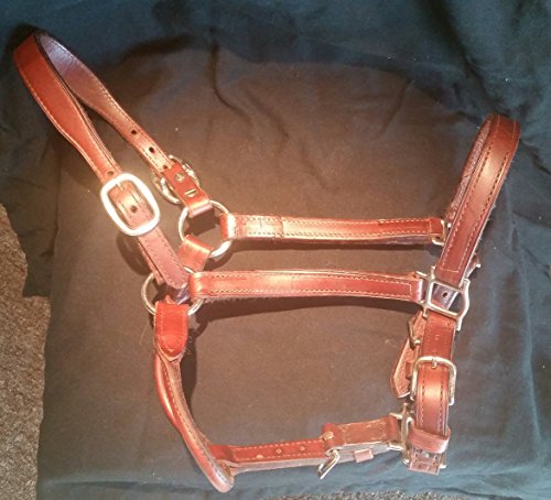Bridle Cob Horze Champion filet de filet en cuir muserolle croisée équitation concours