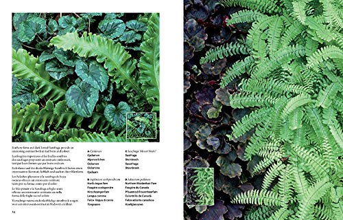 Botanical inspirations: 1000 Ideas for Planting Your Garden / 1000 Ideen fur die Bepflanzung deines