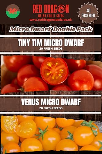 Micro Dwarf Double Pack Tomato Seeds – 40 Fresh Seeds