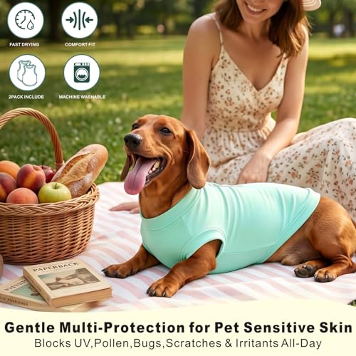 Idepet 2 Pack Sun Protection Dogs Shirts UPF 50+ Lightweight Breathable Quick Dry Dog T-Shirt Puppy Cooling Vest Summer Clothes for Small Medium Large Dogs (Blue&Green, XL) by Idepet - Used condition - Image 5