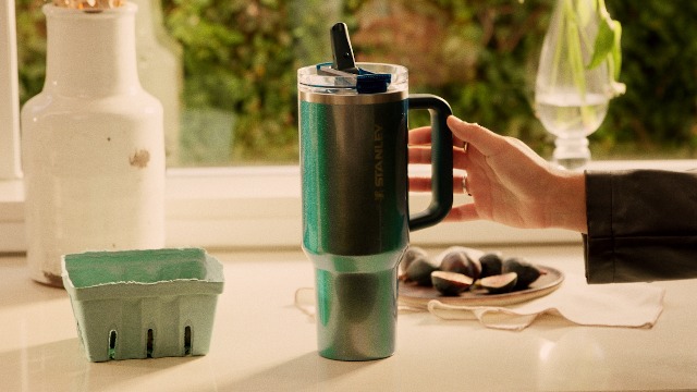 Amazon.com : STANLEY Everyday Camp Mug 24oz | Drink Through Lid