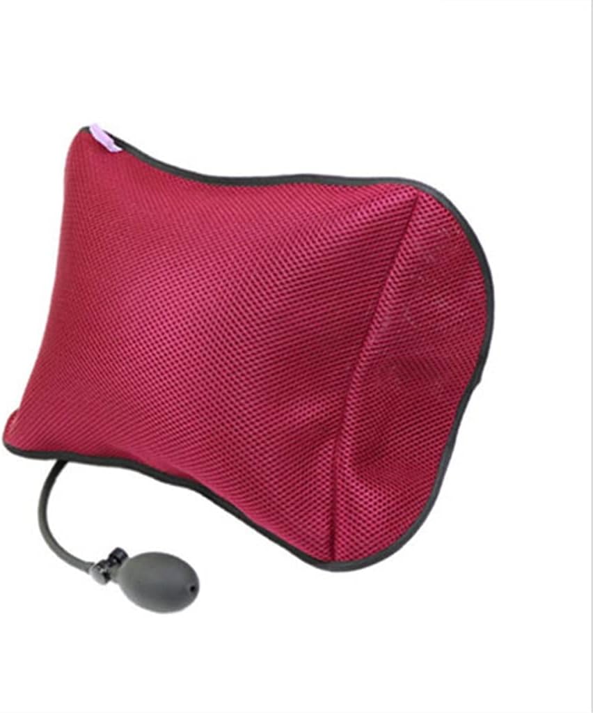 Cushions Lumbar Support for Car Home Office Chair Portable Pillow with Pump Removable Mesh Massage Pillows(White-Dinosaur Doodle4)