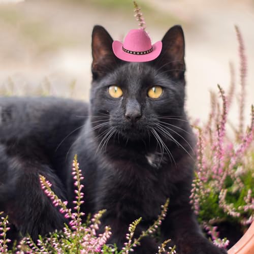AWOCAN Cowboyhut für Hunde, Katzen, Cowboyhut, Mini-Cowboyhut für Hunde, Katzen, Urlaub, Halloween, Haustier-Party-Dekoration (Rosa, klein)