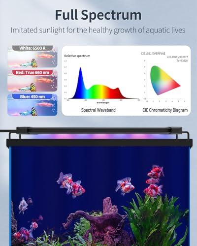 Image of Pawfly 6 W Extendable Aquarium LED Light for 6 to10 Inch Fish Tank with Full Spectrum Brilliant White Blue Red Lights with Daytime & Night Modes and Adjustable Brightness