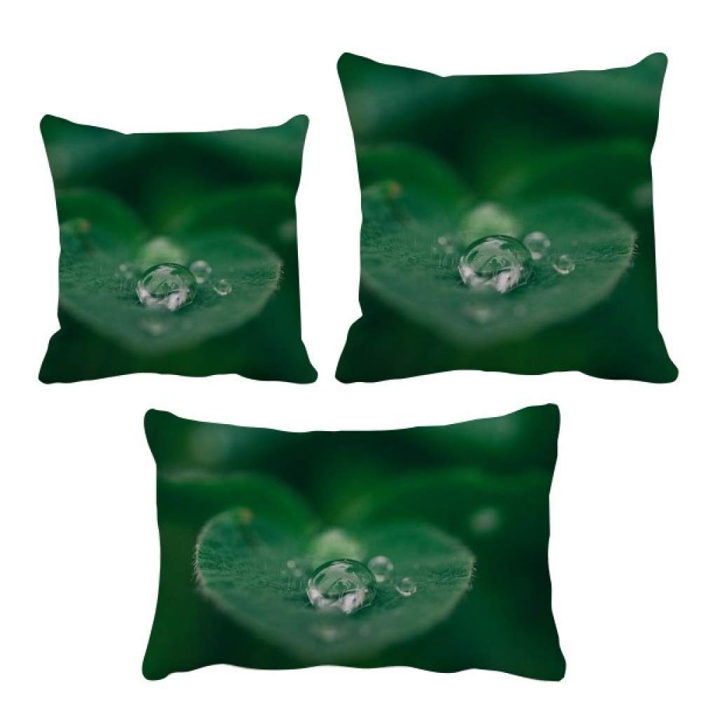 Housse de coussin feuille de rosée créez une ambiance nature dans le salon