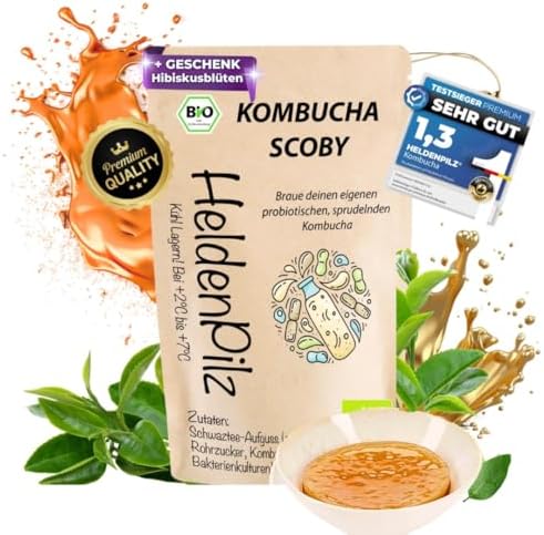 HeldenPilz® Champignon à thé bio Kombucha - Scoby vital et puissa...
