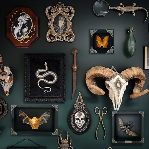 vinatimes Real Yellow Moth Butterfly Insect Dried Bug Lover Gifts for Women Shadow Box Taxidermy Oddity Collectables Specimen Decoration Tabletop Wall Room Art Home Decor Living Gallery K12-31-DE - Image 3