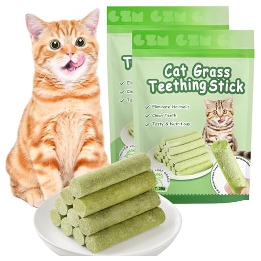 Leckere Katzensnacks mit Katzengras