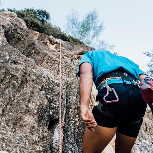 4 Stück Herzförmige Karabiner, Karabiner Aus Aluminiumlegierung, Wasserflaschenschnallen, Rucksackschnallen, Schlüsselanhänger, Outdoor-Zubehör