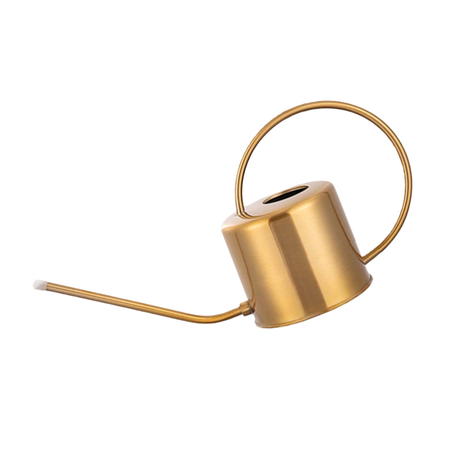 Watering Can for Indoor Plant Long Spout Indoor Watering Can for House Plant Flowers Succulents
