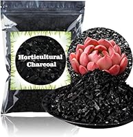 Horticultural Holzkohle für Pflanzen 1L von GOTVUGE, rein natürliche Hartholzkohle, Aktivkohle zur Bodenverbesserung, für Orchideen, Terrarien und Gartenarbeit