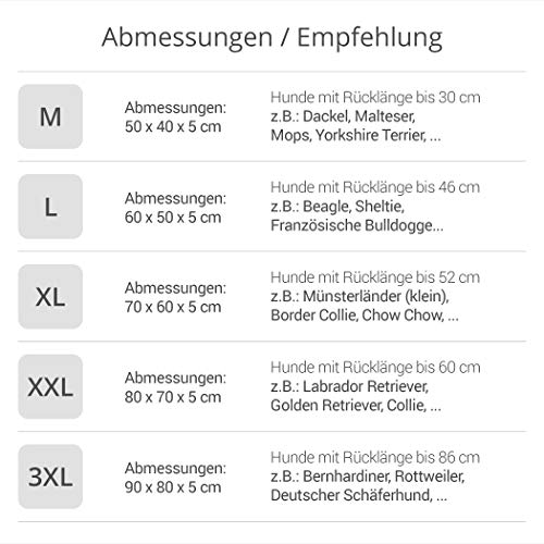 Pointer | Urban Hundekissen Mittelgroße Hunde, 70x60 cm - Orthopädisches Hundebett Waschbar bis 95°C, Geruchsfrei, Robust, Indoor & Outdoor, Made in Germany (XL - 70x60 cm, Goldbraun)