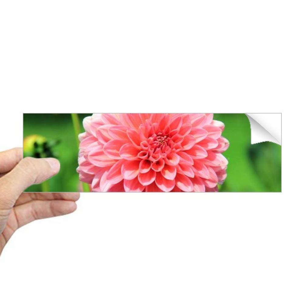 Sticker fenêtre fleurs de pêcher pour salon lumineux