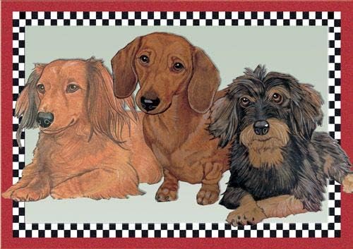 Dachshund Blank Note Cards Boxed